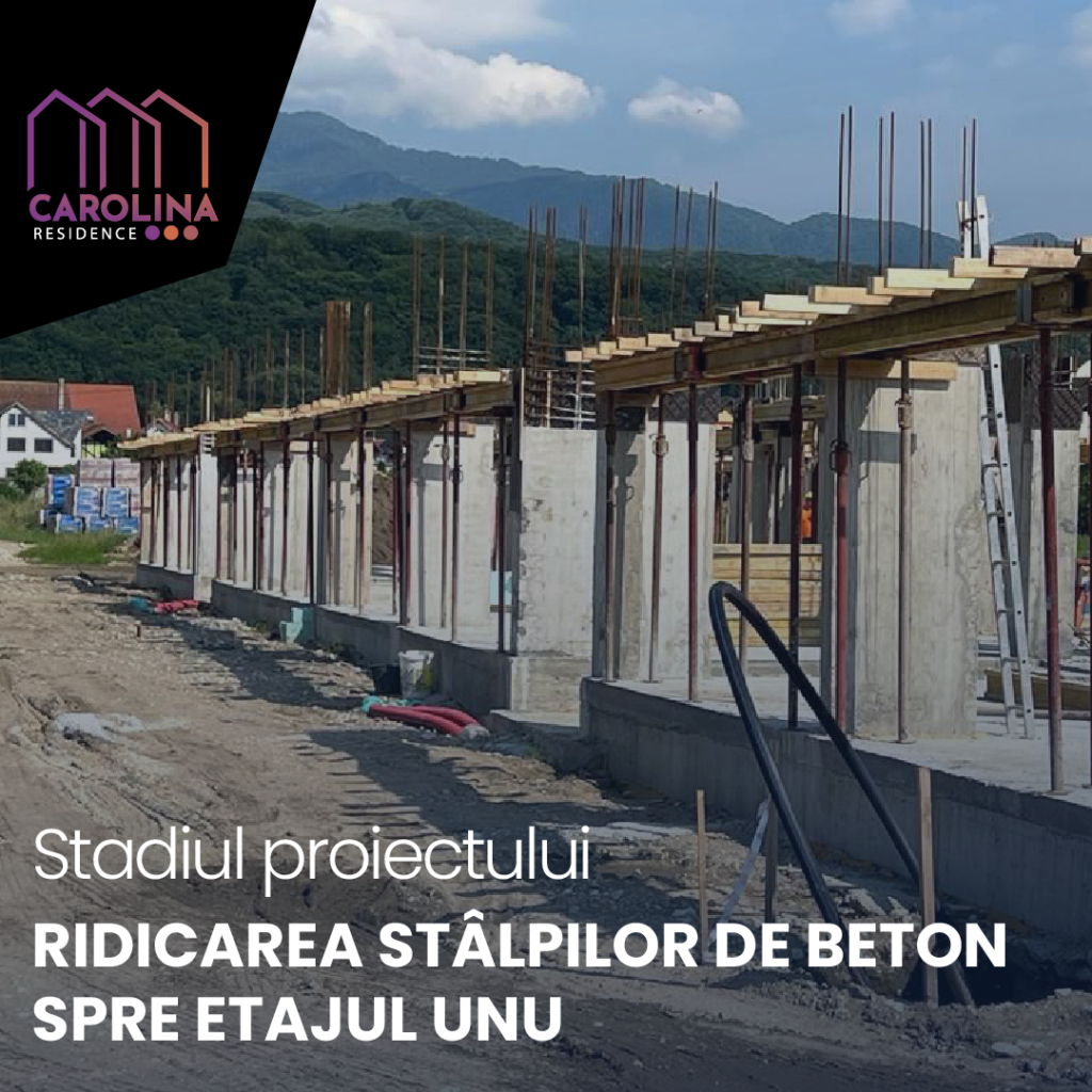 Ridicarea stâlpilor de beton