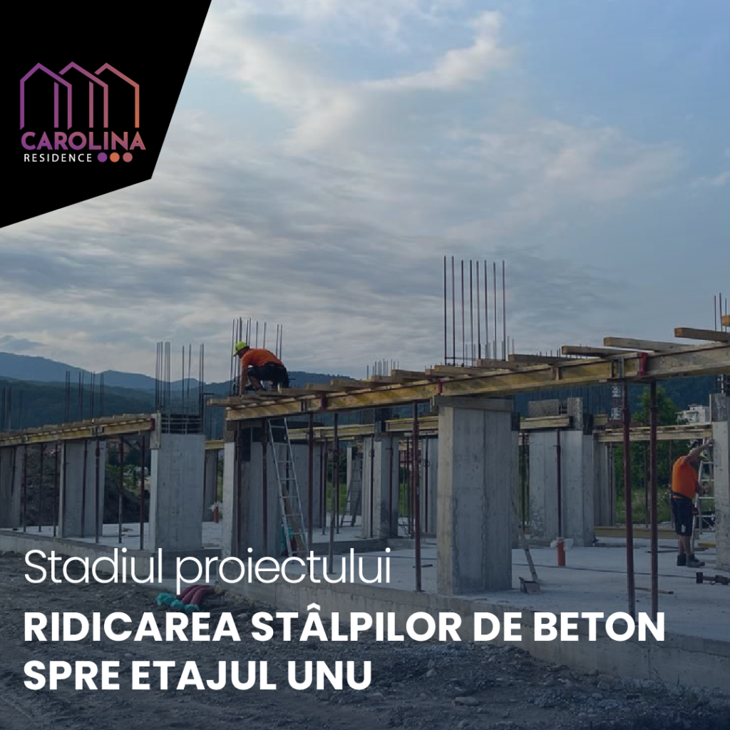 Ridicarea stâlpilor de beton