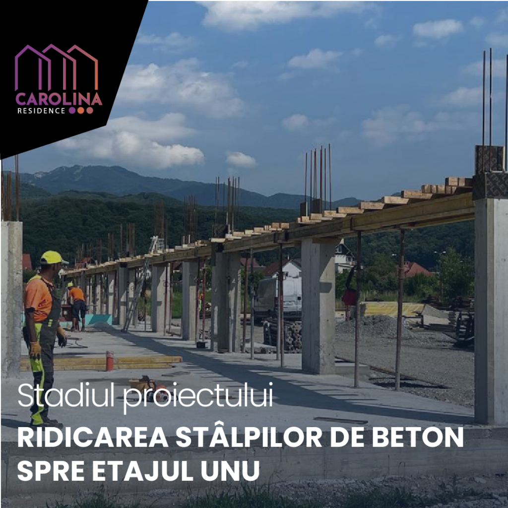 Ridicarea stâlpilor de beton